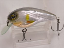 Silver ayu
