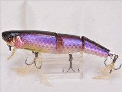 Rose arowana