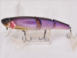 Rose arowana