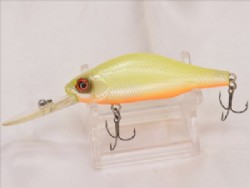 Lupin (Orange belly)