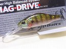Blue gill