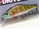 Blue gill