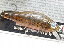 Pumpkin shad