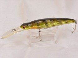 Half skeleton blue gill