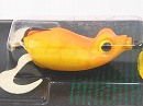 Orange coach dog (#208)