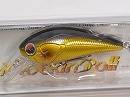 Golden shad (#019)