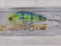 Blue gill (#002)