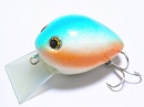 American shad
