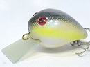 Chartreuse shad