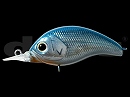 Blue shad (#02)