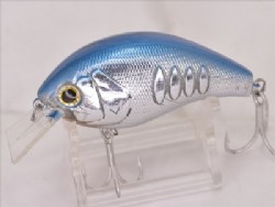 Blue shad