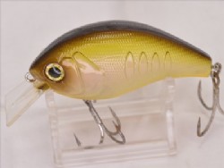 Holison shad