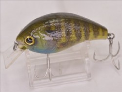 Real blue gill