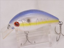 Sexy shad