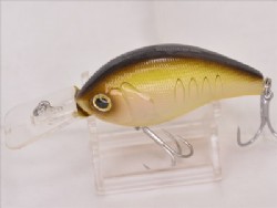 Holison shad
