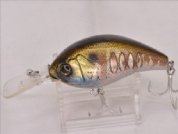Prism gill