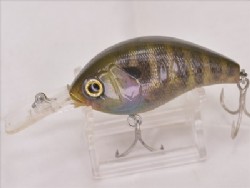 Real blue gill