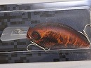 Red craw (#38)