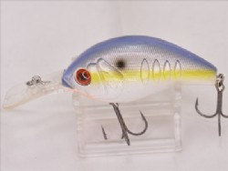 Sexy shad