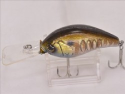 Prism gill