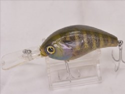 Real blue gill