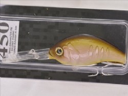 Holison shad (#06)
