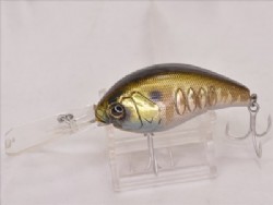 Prism gill