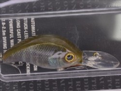 R blue gill (#15)