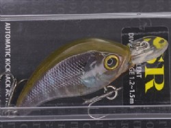 R blue gill (#15)
