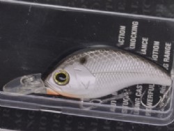 Black back shad (#36)
