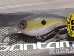 Sexy shad
