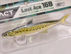 Bass (#76)