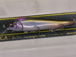 DD indicator shiner 