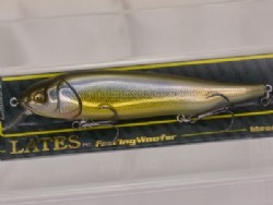 DD silver shad
