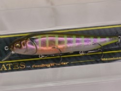 GP aurora gill