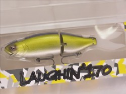 Acker shad (#07)