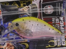 CF zebra chartreuse pink sea trout