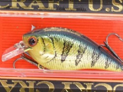 Lure Magazine original color (LM Sun fish)