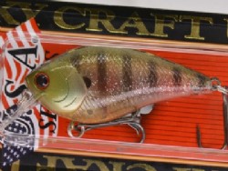 Flake flake male gill