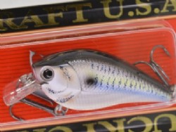 Live threadfin shad