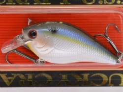 Pearl threadfin shad