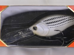 TX white bass