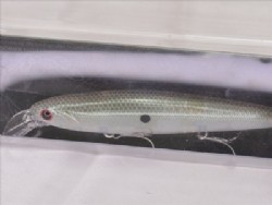 Pearl green shad