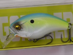 Citrus shad
