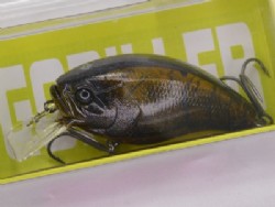 Mud craw