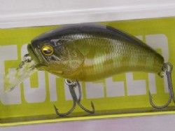 Weed gill 2