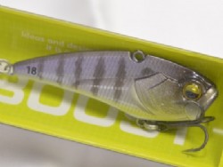Chi gill (Baby gill)