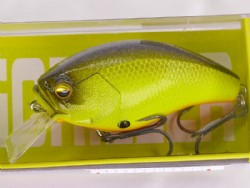 Neon back chart