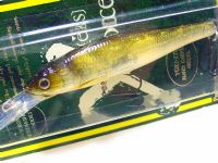 GP Shad