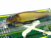 Hakusei carp